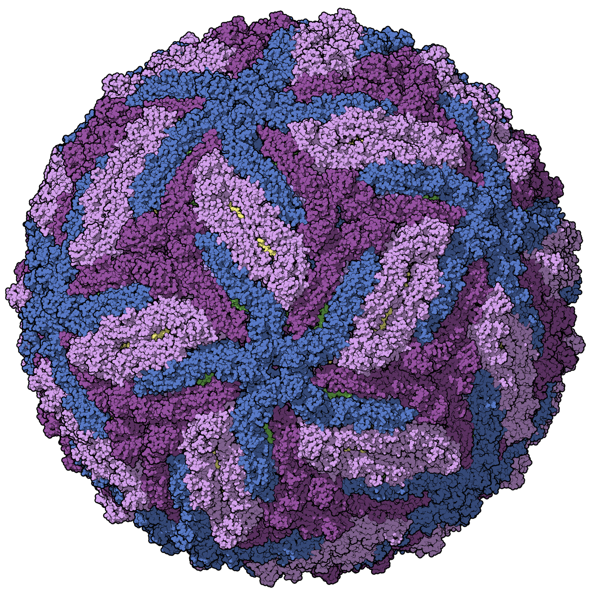Imagem de referência de vírus, descrito nos dados abertos como entidade biológica infecciosa