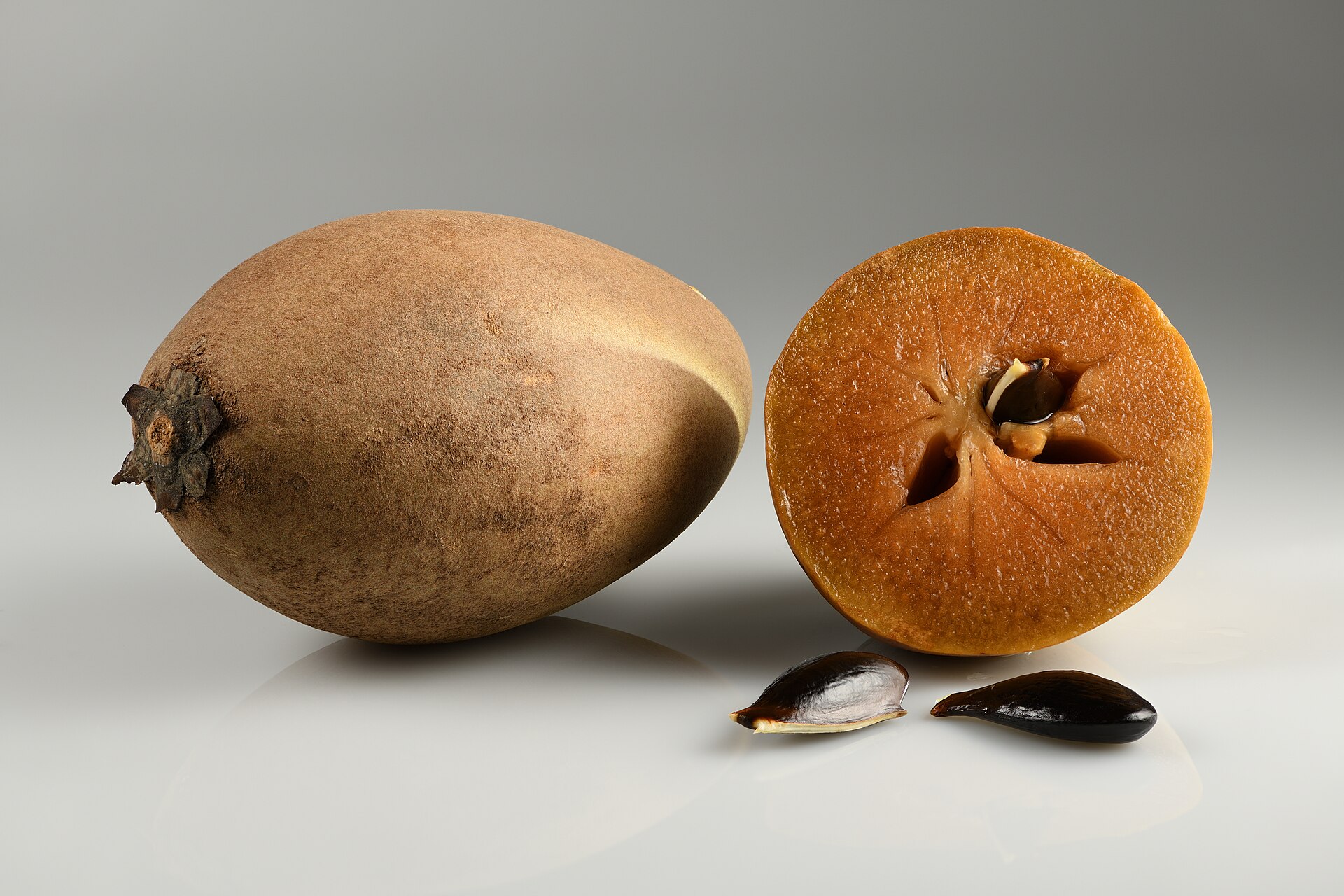 Imagem de referência de Sapotizeiro, descrito nos dados abertos como árvore frutífera nativa da América Central
