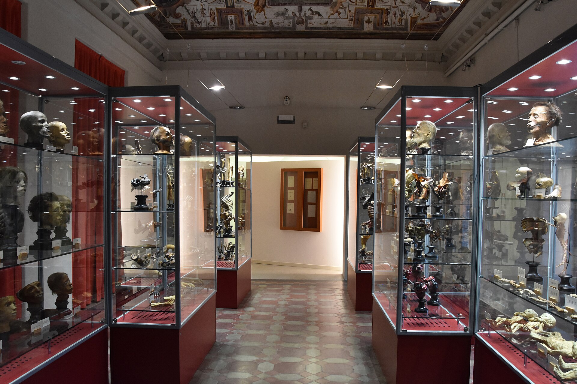 Imagem de referência de Coleção anatómica Paolo Gorini, descrito nos dados abertos como museu em Lodi, itália