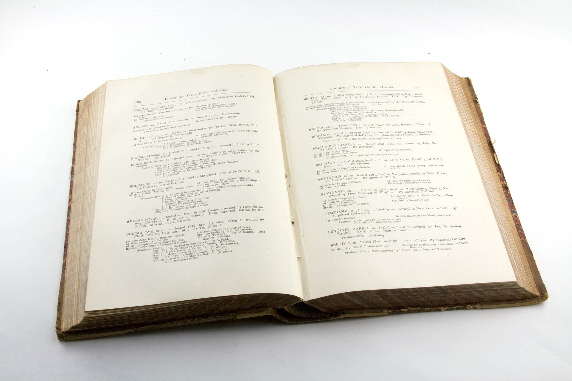 Imagem de referência de livro, descrito nos dados abertos como coleção de palavras e/ou imagens para representar o conhecimento ou uma história fictícia, muitas vezes manifestada em papel amarrado e tinta ou em livros digitais