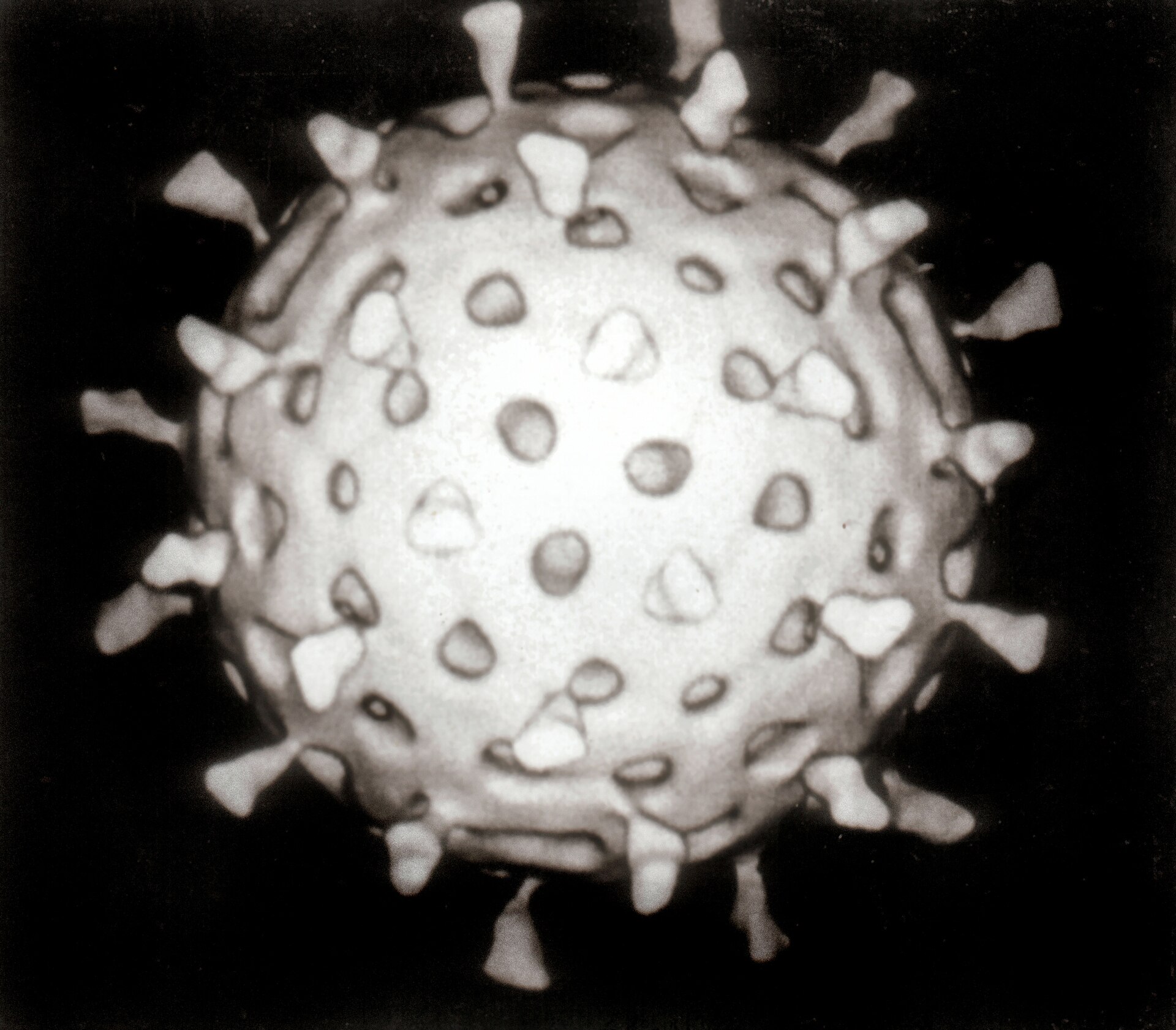 Imagem de referência de rotavirus, descrito nos dados abertos como gênero de vírus