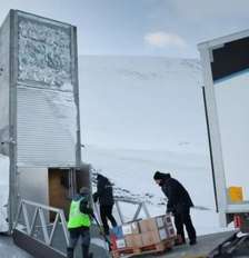 Entrega de sementes africanas à Reserva Global de Sementes de Svalbard, no Ártico norueguês (Imagem de arquivo). Foto: © Jonatan Jacobson, NordGen / RFI