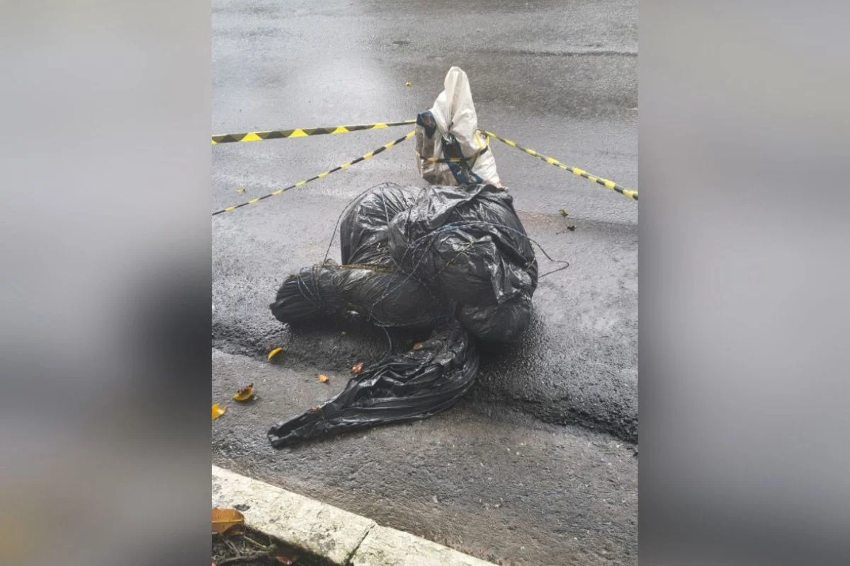 corpos sacos plásticos polícia investiga casos tribunal do crime