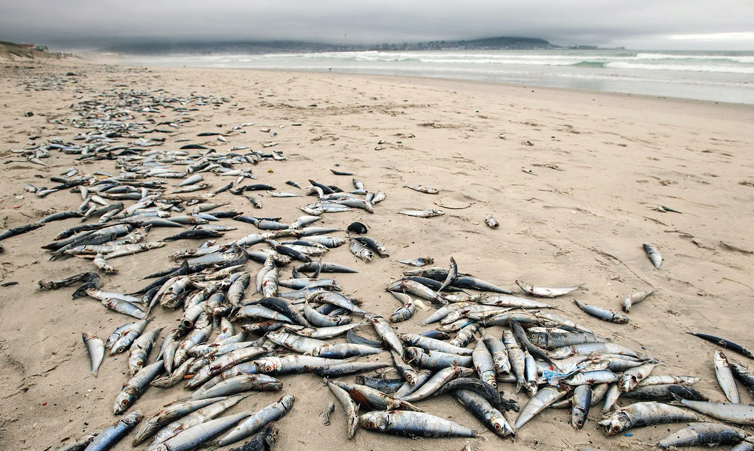 Omusati enfrenta degradação do solo e escassez de água