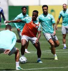 Palmeiras segue vivo em três competições na reta final da temporada – Foto: Cesar Greco/Palmeiras / Jogada10
