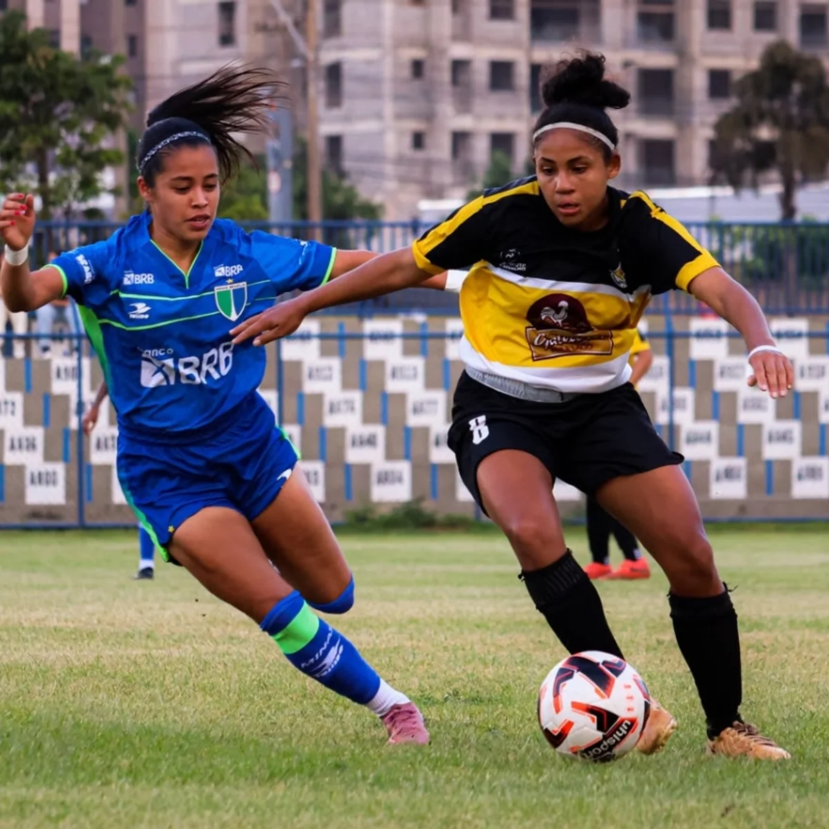 Minas Brasília e Cresspom disputam final do Candangão Feminino após 7 anos