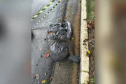 Corpos em saco de lixo: polícia investiga ação de tribunal do crime em SP - imagem 3